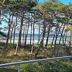Pine & Sun - Hevenia *