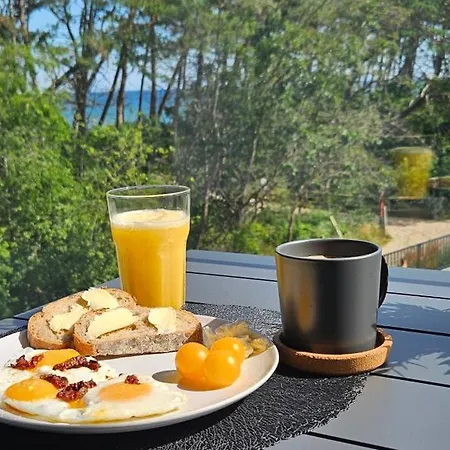 Pine & Sun - Hevenia Pogorzelica