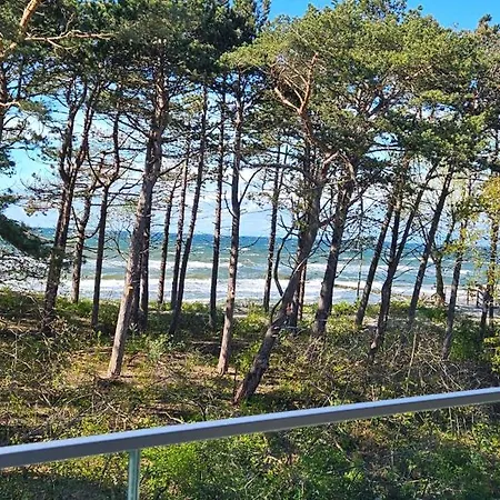 Pine & Sun - Hevenia *